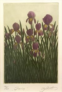 Alfred Schmidt - Grafik 14-60 - „Iris“ - Bildmaß:11,5x17 - 105€…