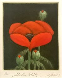 Alfred Schmidt - Grafik 2-40 - „Mohnblüte“ - Blattmaß:26x35 - 120€…