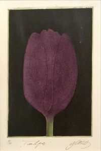 Alfred Schmidt - Grafik 4-30 - „Tulpe“ - Bildmaß:35x26 - 115€…