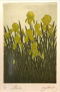 Alfred Schmidt - Grafik 5-60 - „Iris“ - Blattmaß:26x35,5 - 90€…