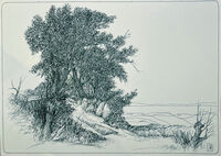 Landschaft am Meer&hellip;